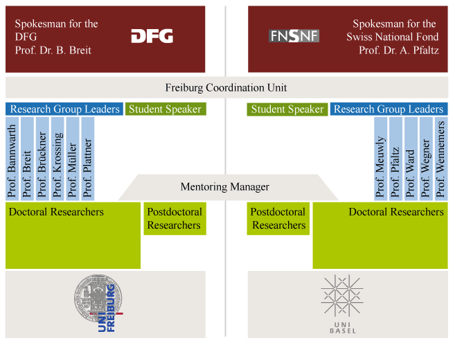 Organisational Structure of IRTG 1038